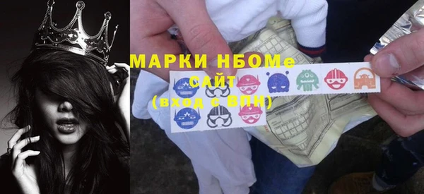 прущие грибы Белокуриха
