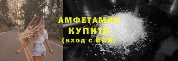 гидра Богородицк