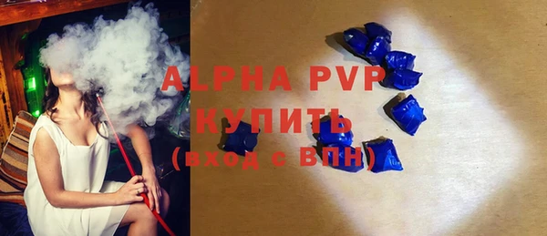 гидра Богородицк