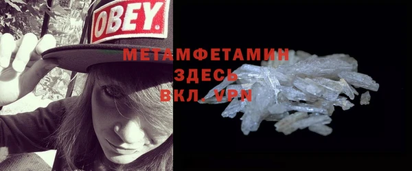 гидра Богородицк