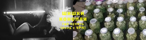 прущие грибы Белокуриха