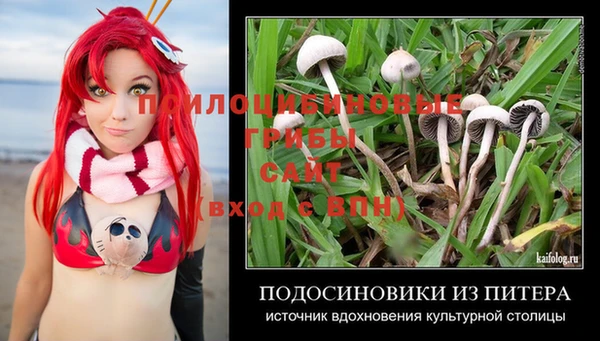 spice Богданович