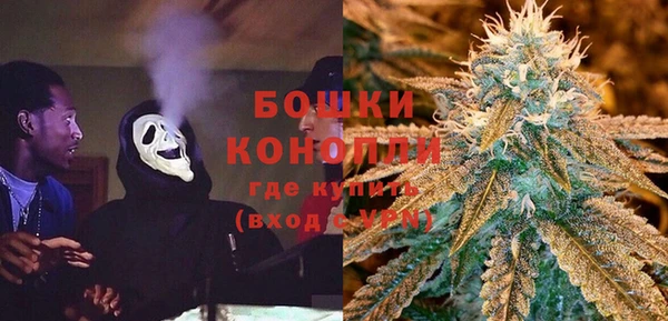 гидра Богородицк