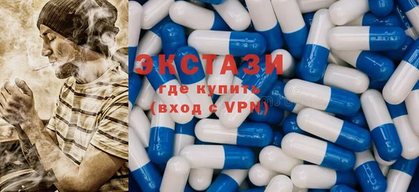 гидра Богородицк