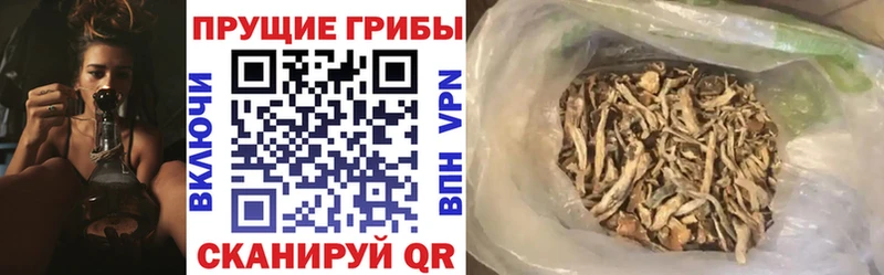 маркетплейс клад  где купить наркоту  Каменка  Псилоцибиновые грибы прущие грибы 